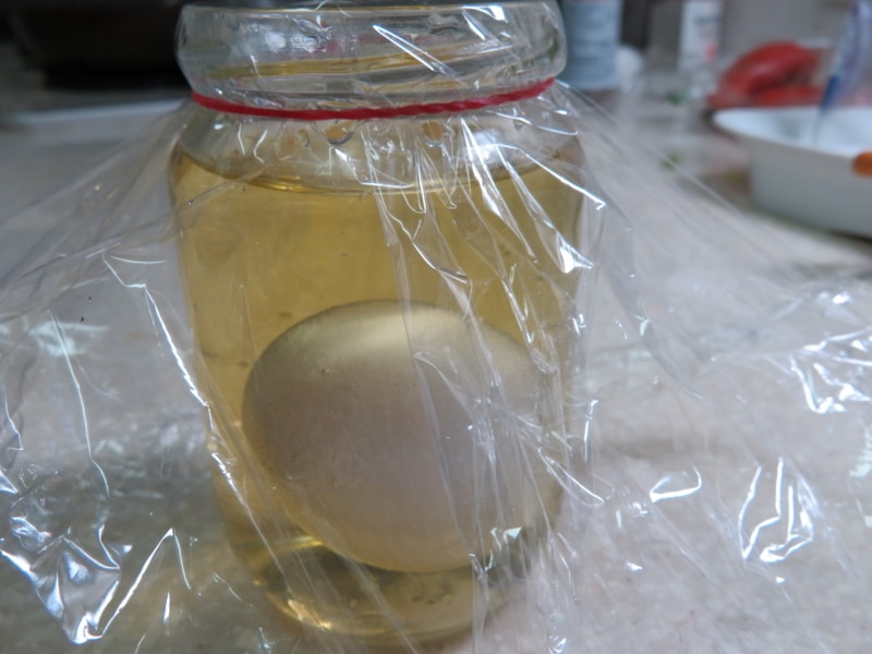 ぷよぷよ卵を作る為、瓶にお酢と卵を入れた写真