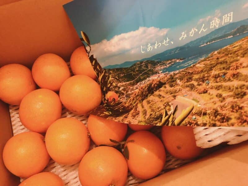 ミヤモトオレンジガーデン「まごころまどんな」4キロ写真